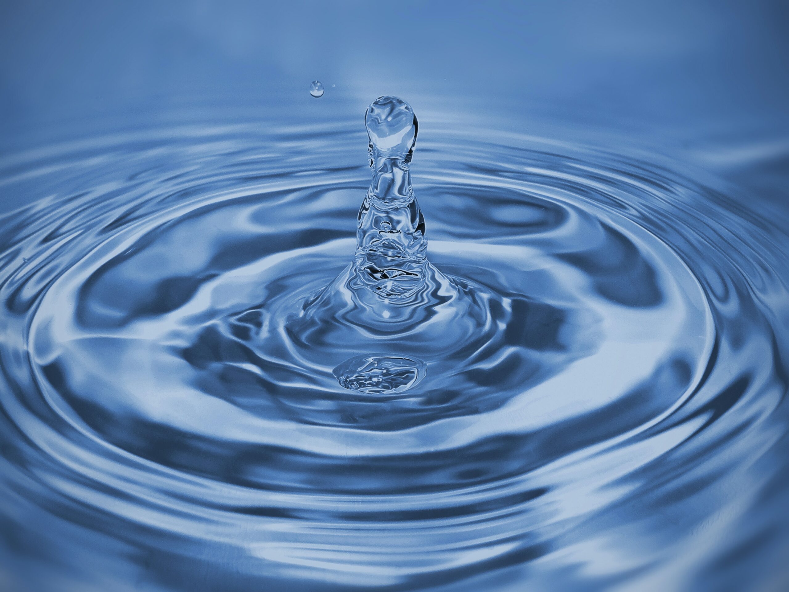 Zbiornik na wodę deszczową — jak go wybrać